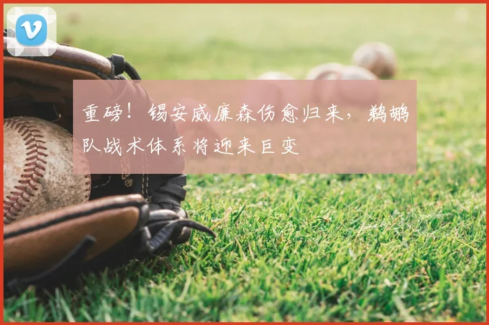 重磅！锡安威廉森伤愈归来，鹈鹕队战术体系将迎来巨变