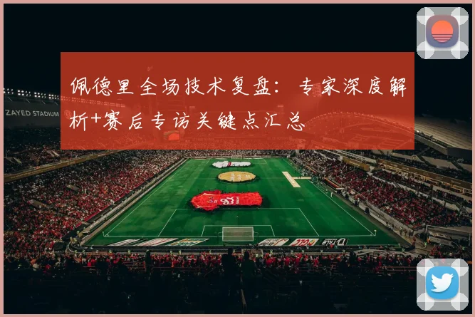 佩德里全场技术复盘：专家深度解析+赛后专访关键点汇总