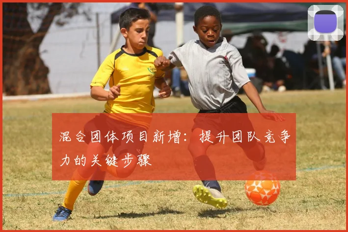 混合团体项目新增：提升团队竞争力的关键步骤