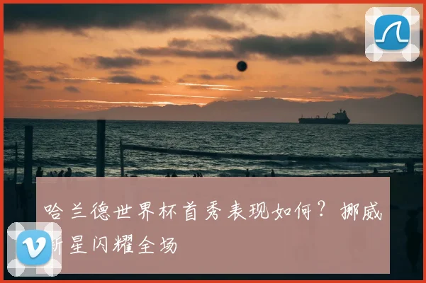 哈兰德世界杯首秀表现如何?挪威新星闪耀全场
